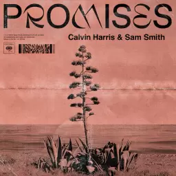Calvin Harris – Promises
