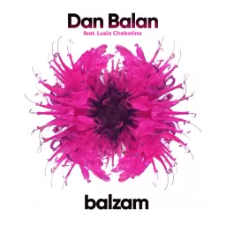 Dan Balan – Balzam