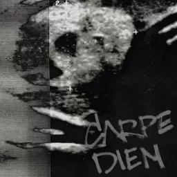 STED.D – CARPE DIEM