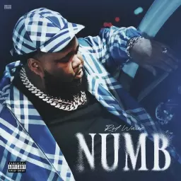 Rod Wave – Numb (2024)