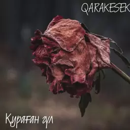 Qarakesek – Қураған Гүл