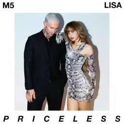 Maroon 5 – Priceless