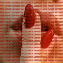 5sta Family – Антидот