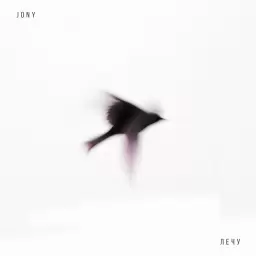 JONY – Лечу