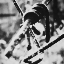 Miyagi – Ограды