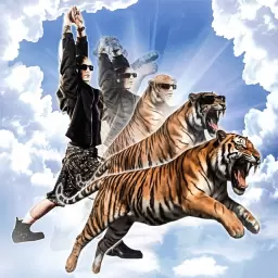 GSPD – Глаза тигра