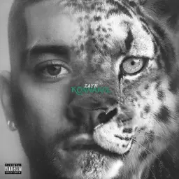 ZAYN – Sideways