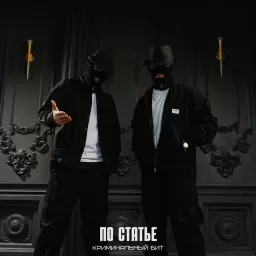 Криминальный бит – По статье