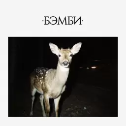 DJ SMASH – БЭМБИ