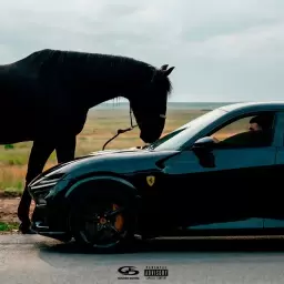 Jakone – Purosangue