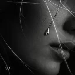 Wildways – Капли