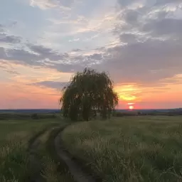 INSTASAMKA – Лишь раз