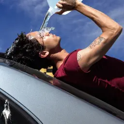 Dominic Fike – Wallflower