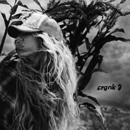 Slayyyter – crank 2